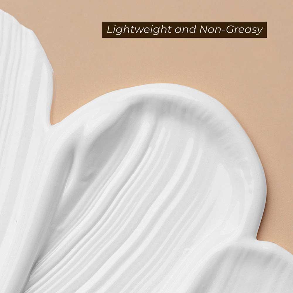 Complete Face Care Kit - Light Day Cream (100ml), Retexturing Night Cream (50ml), Under Eye Cream (50ml), With Brightening Depigmentation Gel (100ml) Combo For Nourished & Radiant Skin - Image 4
