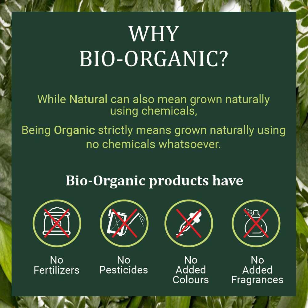 Bio Organic Tulsi Leaf Powder - 100gm - Image 5